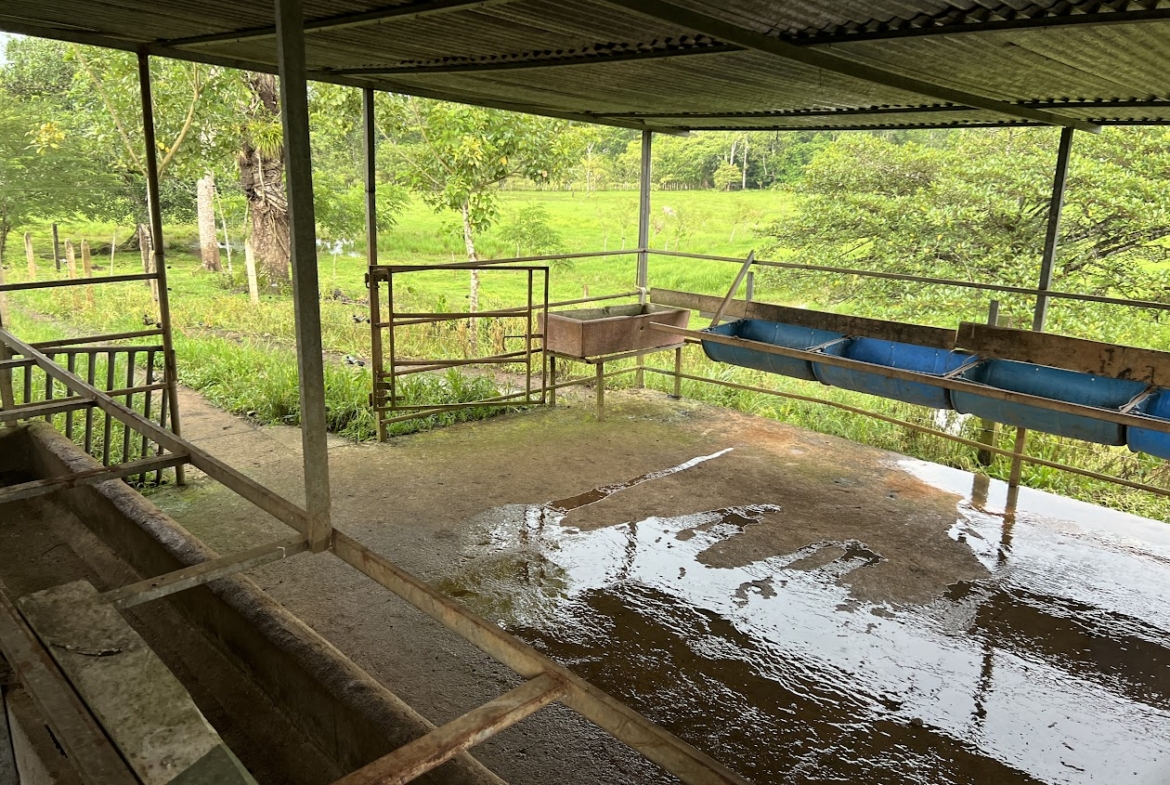Finca Lechera en Costa Rica
